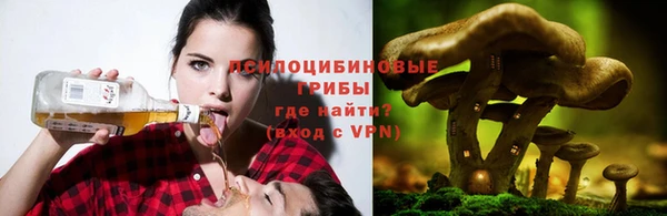 трава Абинск