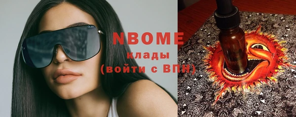 стаф Ростов