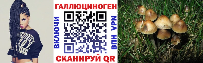 что такое наркотик  Агрыз  OMG ссылки  Галлюциногенные грибы мухоморы 